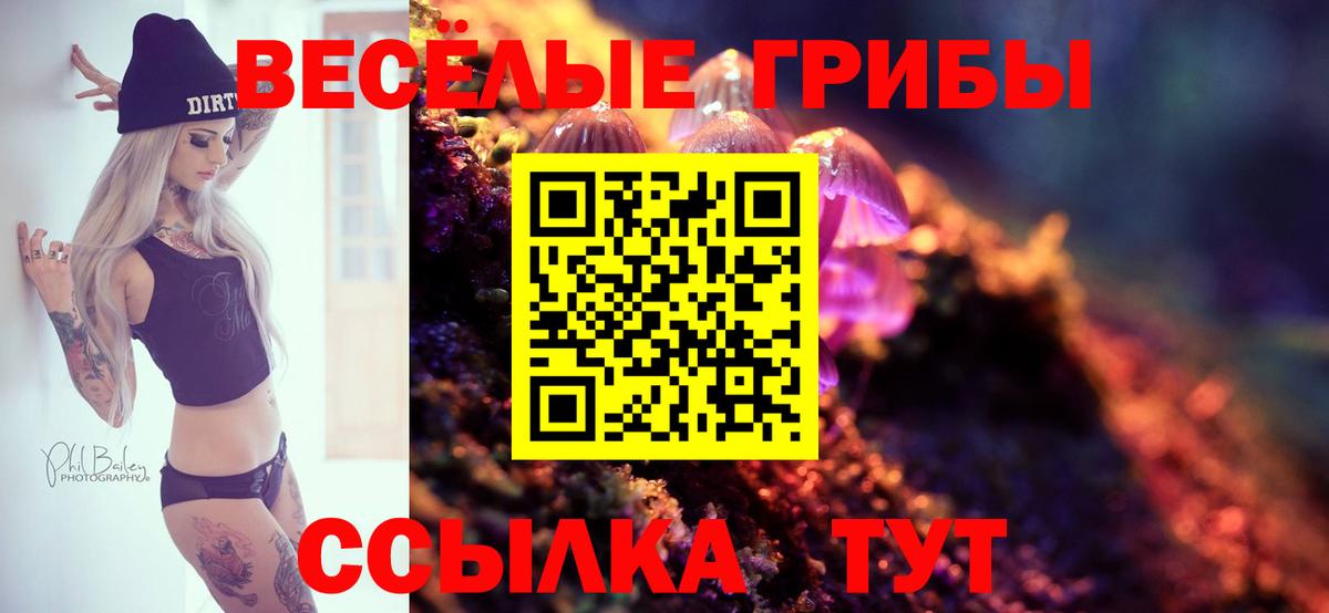 Псилоцибиновые грибы Magic Shrooms  Вход с VPN  продажа наркотиков  Альметьевск 